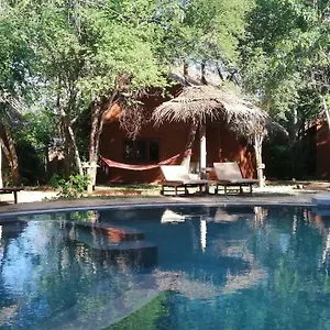 https://kuwera-eco-lodge.kandyhotelsnow.com